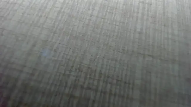 AishaRouhi online show from 10, 2, 2026