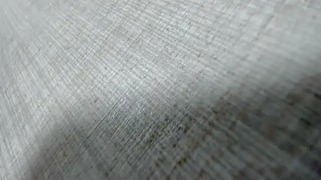 AishaRouhi online show from 31, 3, 2026