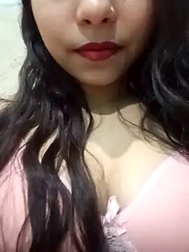 Snapshot of Deepsika chatting on 28, 1, 2025 Deepsika online show from 28, 1, 2025