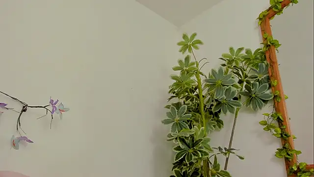 BonnieCute  online show from 17, 3, 2026