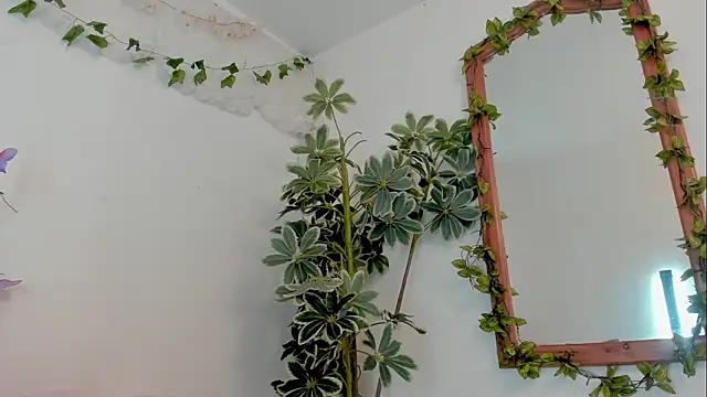 BonnieCute  online show from 19, 3, 2026