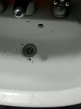 Chancho141414 online show from 15, 11, 2025