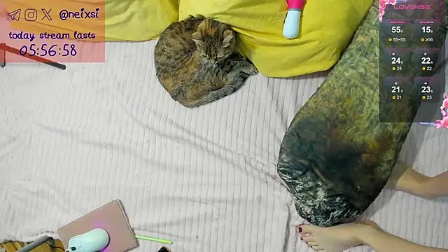 ixsi online show from 23, 10, 2025