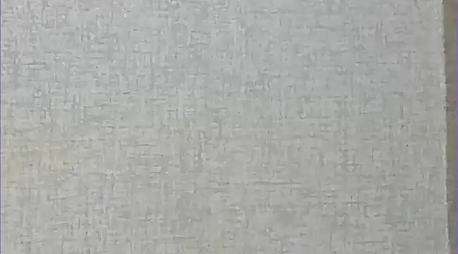 Snapshot of Ricardogo19 chatting on 27, 12, 2024 Ricardogo19 online show from 27, 12, 2024