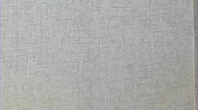 Snapshot of Ricardogo19 chatting on 22, 3, 2025 Ricardogo19 online show from 22, 3, 2025