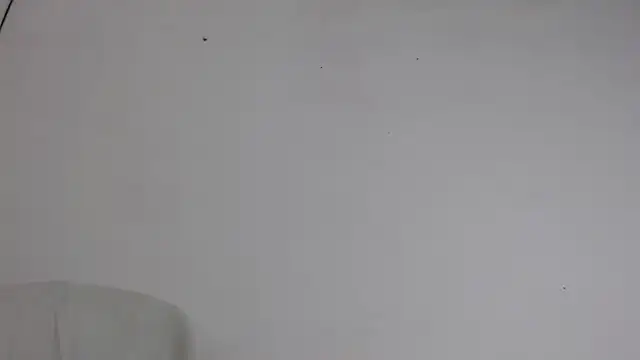 Niurca01  online show from 5, 10, 2025