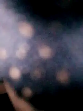 Hotpussy3ox online show from 18, 9, 2025