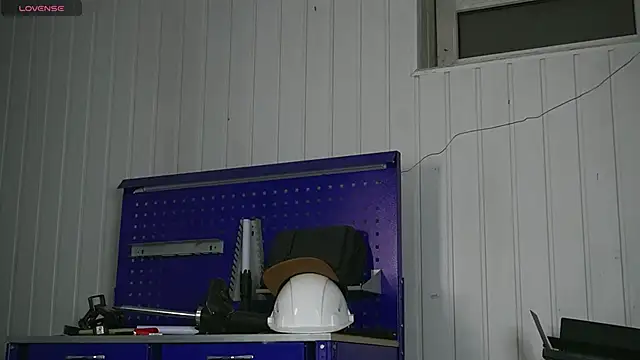 dustyn fox online show from 17, 1, 2026