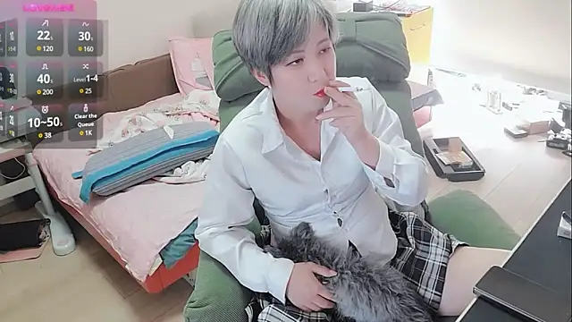 majlee2024 online show from 19, 3, 2025