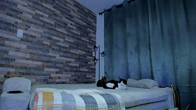 zaiin diesel online show from 30, 1, 2025