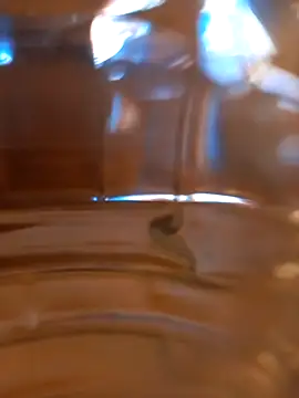 kx93 online show from 7, 10, 2025