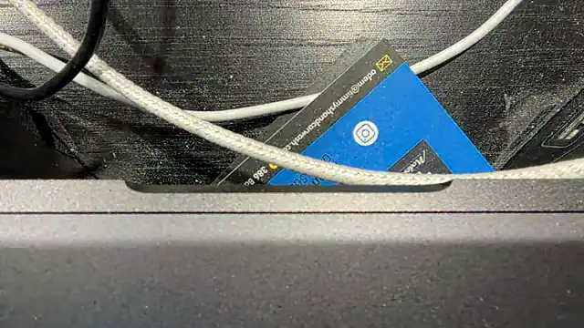 TinyTraps online show from 17, 12, 2024