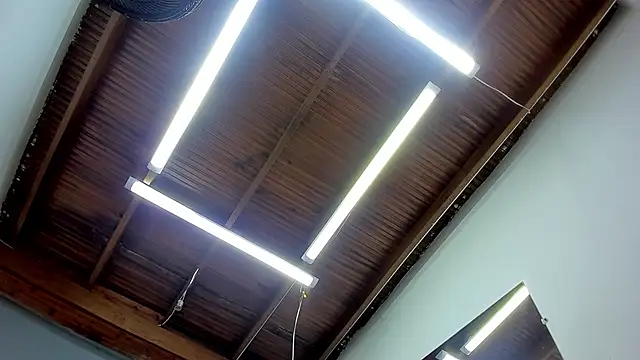 esteban cor online show from 22, 1, 2025