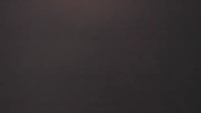 vera candella online show from 16, 2, 2026