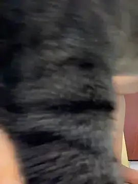 Barbielatinas online show from 14, 2, 2026