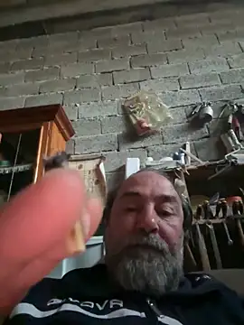 ros217 online show from 23, 4, 2026