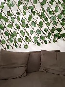 Snapshot of Bold-Cat chatting on 2, 10, 2025 Bold-Cat online show from 2, 10, 2025