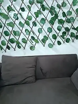 Snapshot of Bold-Cat chatting on 20, 11, 2025 Bold-Cat online show from 20, 11, 2025