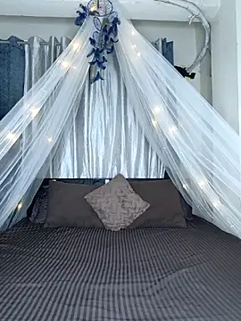 Snapshot of Bold-Cat chatting on 18, 2, 2026 Bold-Cat online show from 18, 2, 2026