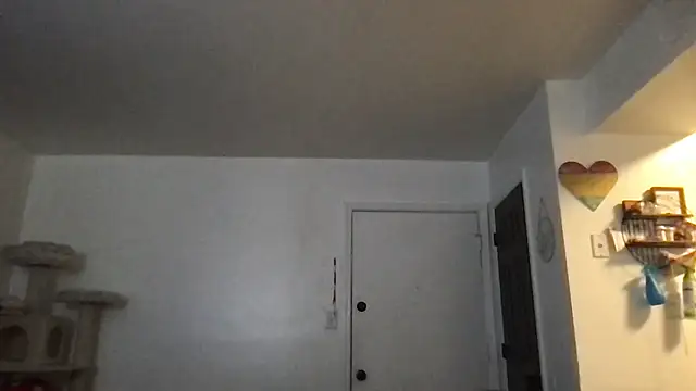 Snapshot of SpunCandy chatting on 17, 1, 2026 SpunCandy online show from 17, 1, 2026