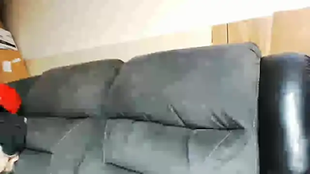 BrisonChase online show from 28, 7, 2026