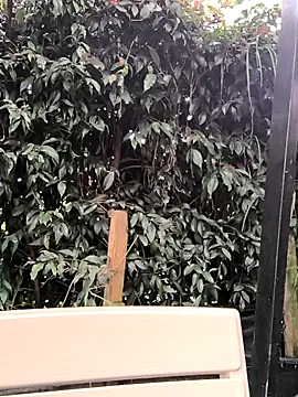 Fun Everywhere online show from 14, 3, 2025