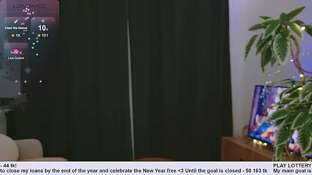 Snapshot of Pink_SeaGul chatting on 31, 12, 2024 Pink SeaGul online show from 31, 12, 2024
