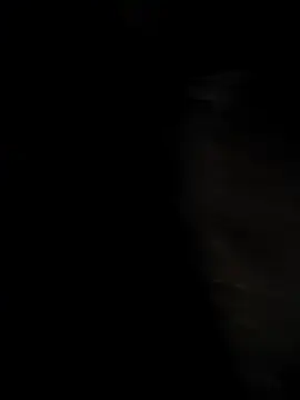 tamilbull07 online show from 3, 12, 2025