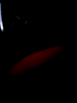 pascalino100 online show from 4, 4, 2026