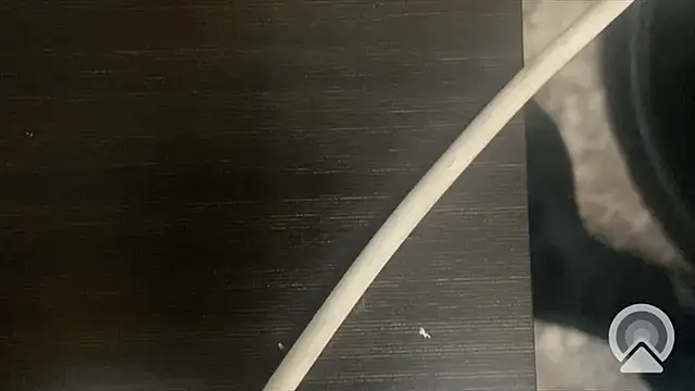 shuai321 online show from 13, 2, 2025