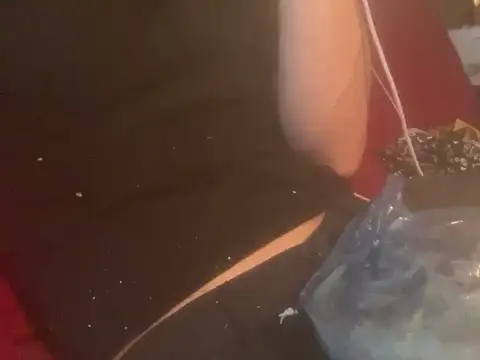 skatebored online show from 26, 1, 2025