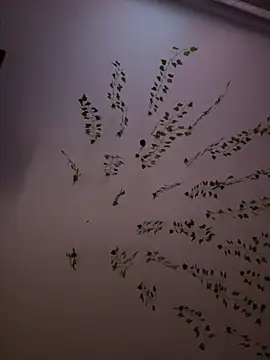 -Sexy Barbie- online show from 8, 2, 2025