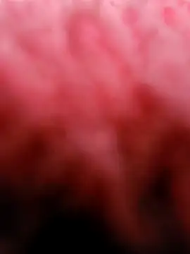 eric69 69 online show from 5, 3, 2025