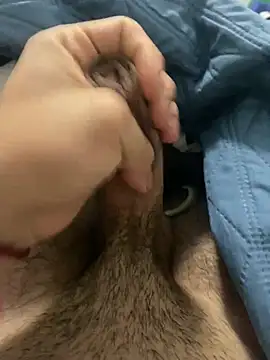 tulon 17 online show from 23, 2, 2026