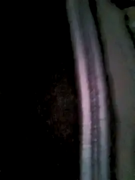 Snapshot of Fuckmehard2xx chatting on 2, 3, 2025 Fuckmehard2xx online show from 2, 3, 2025