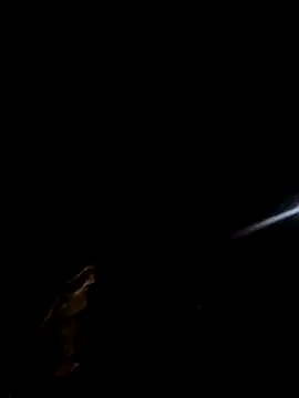 kindbut69 online show from 2, 11, 2025