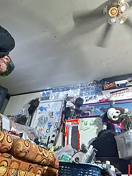 gettinit2wice online show from 17, 4, 2026