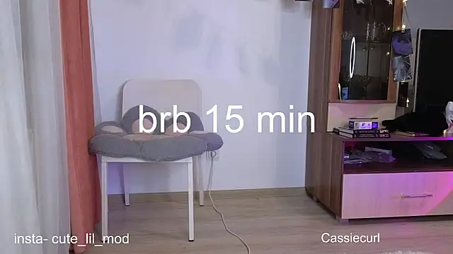 art phoenix online show from 7, 3, 2025