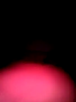 Porco81cazzo online show from 4, 12, 2025