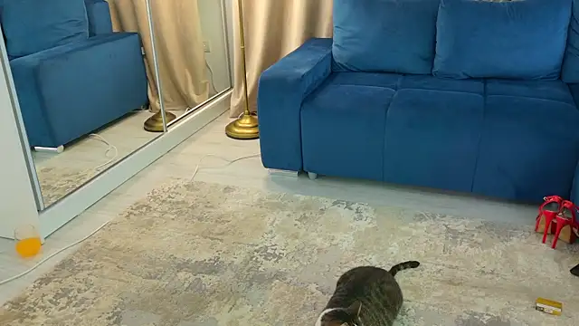 Addictive T online show from 12, 2, 2025