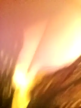 JAWHARA  online show from 14, 12, 2025