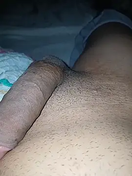 taylorWiiz online show from 26, 11, 2025