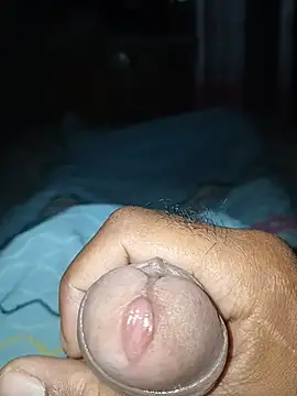 taylorWiiz online show from 16, 12, 2025