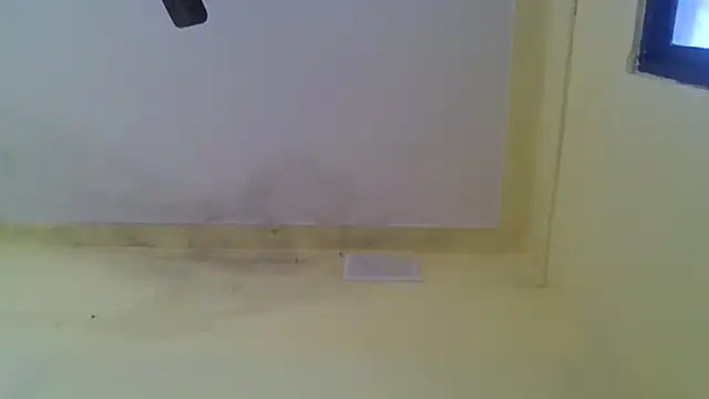 Snapshot of Nitya-Mahesh chatting on 20, 1, 2025 Nitya-Mahesh online show from 20, 1, 2025