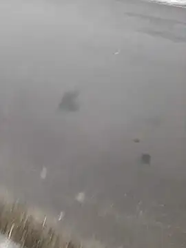 Snapshot of BRUNNA chatting on 20, 3, 2025 BRUNNA online show from 20, 3, 2025