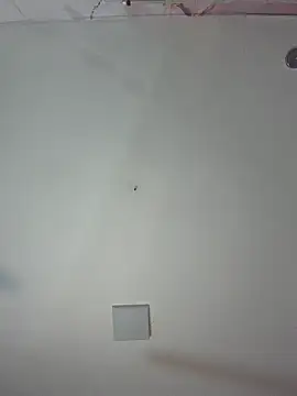 kiim taaylor online show from 25, 2, 2026