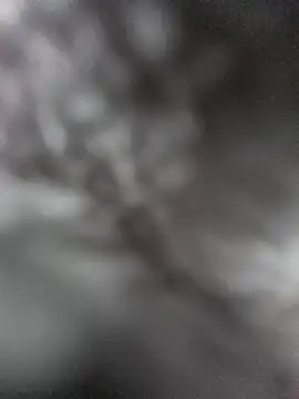 hungarian dick online show from 31, 1, 2025