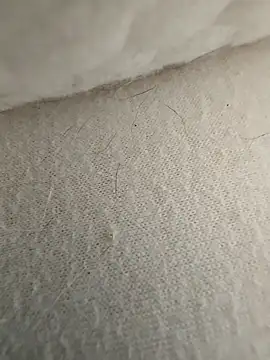 hungarian dick online show from 21, 9, 2025