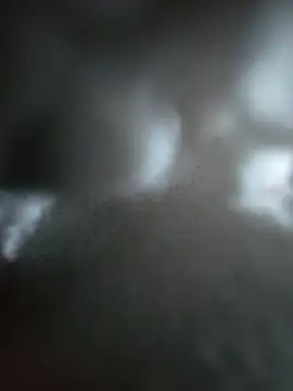 hungarian dick online show from 19, 10, 2025