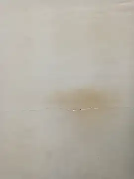 Rina777o online show from 7, 3, 2025